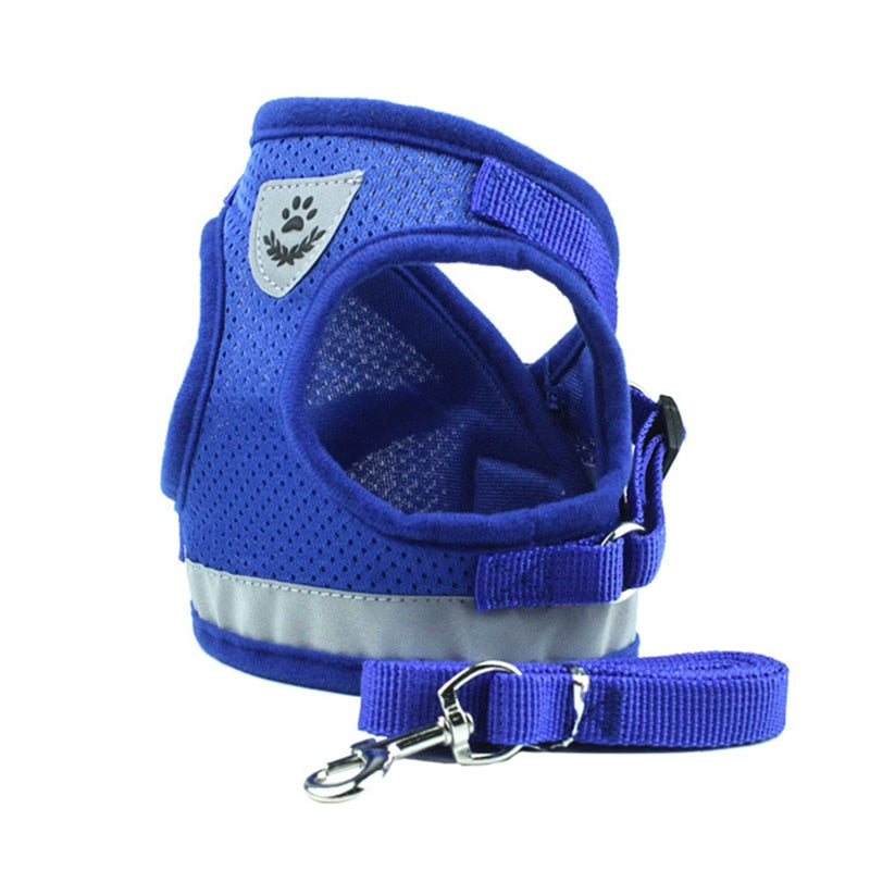Nylon Mesh Cat Harness Set