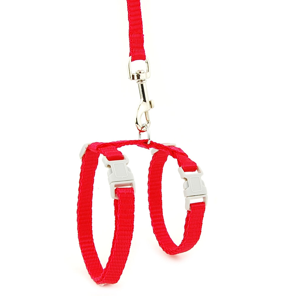 Cat Solid Halter Collar