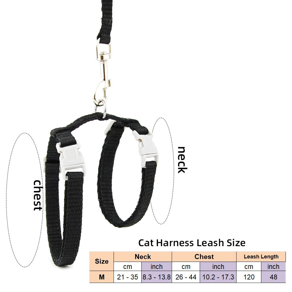 Cat Solid Halter Collar