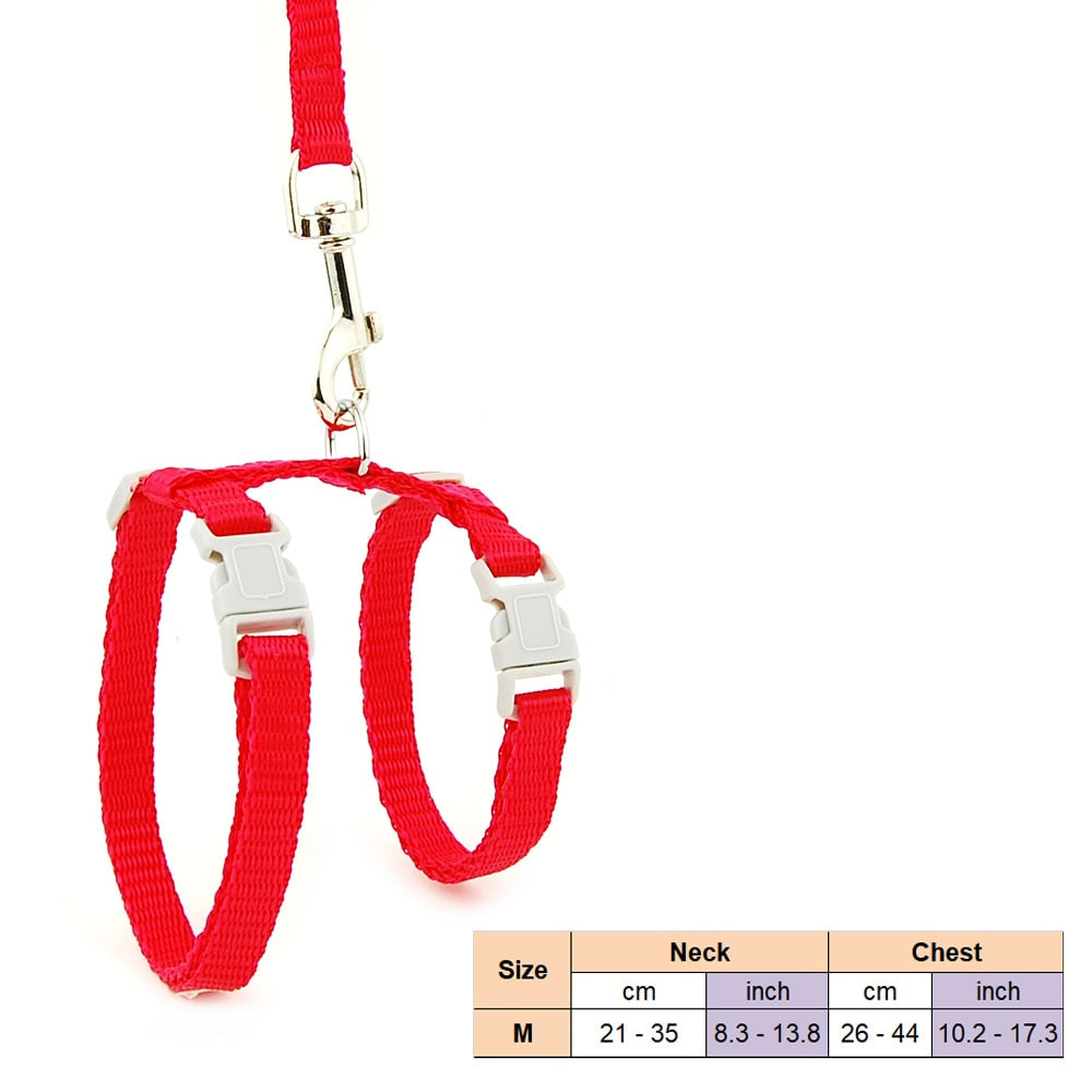 Cat Solid Halter Collar