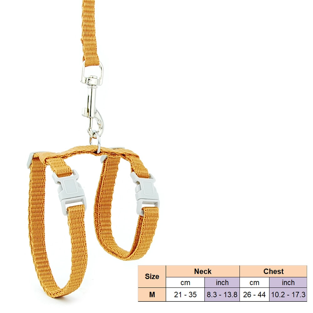 Cat Solid Halter Collar