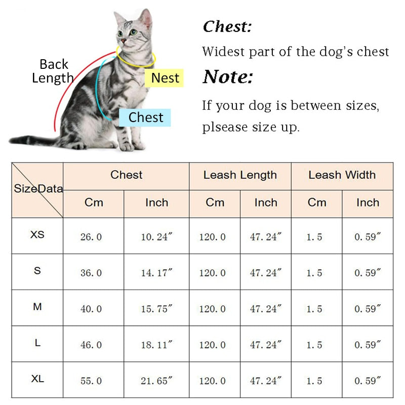 Nylon Mesh Cat Harness Set