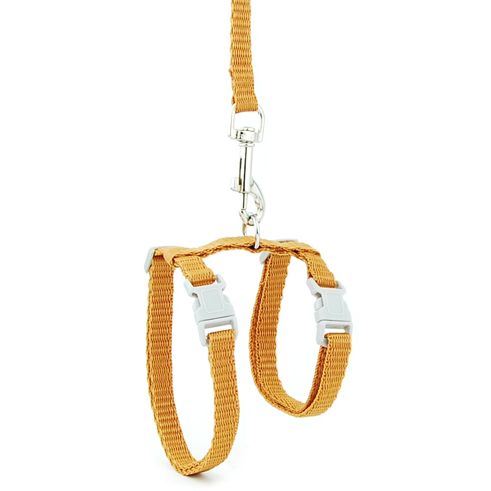 Cat Solid Halter Collar