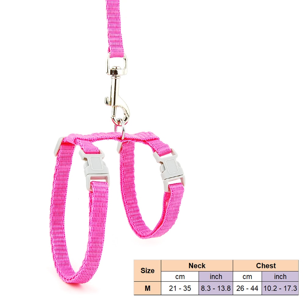 Cat Solid Halter Collar