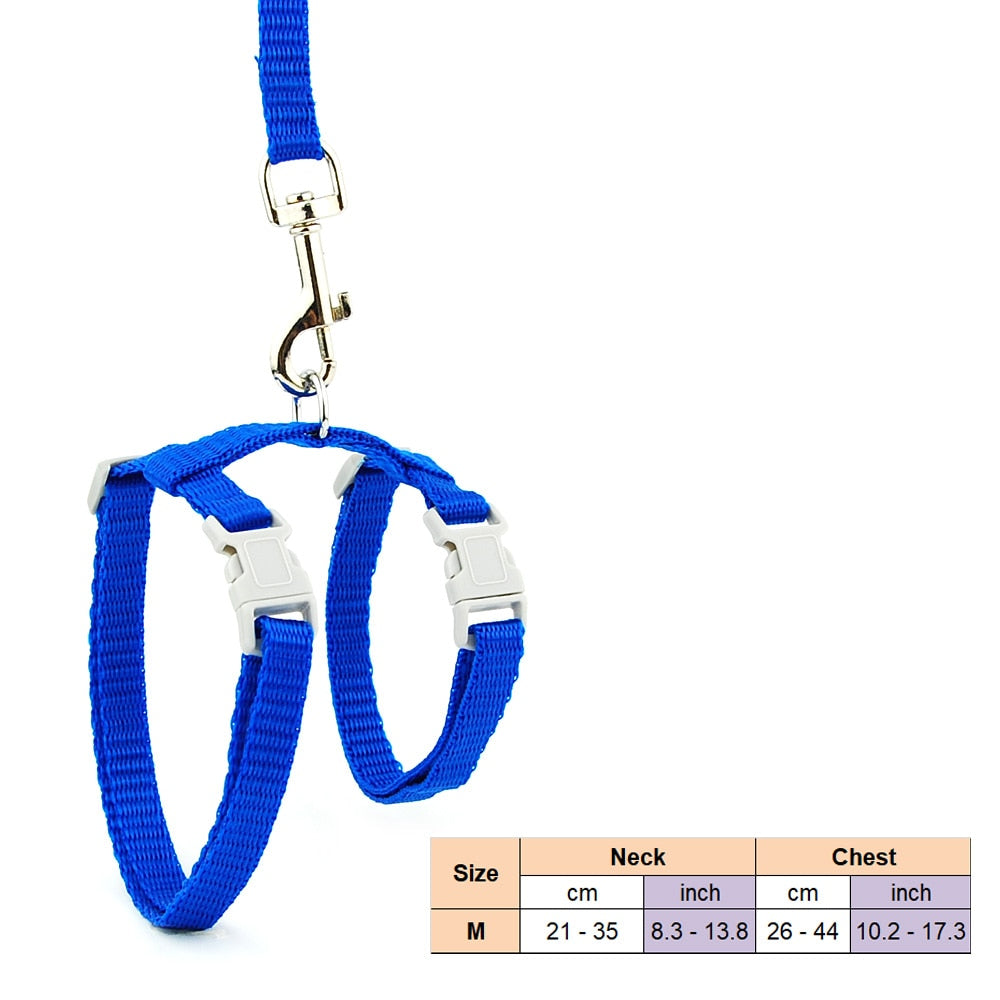 Cat Solid Halter Collar