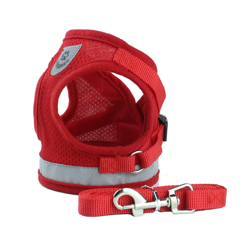 Nylon Mesh Cat Harness Set