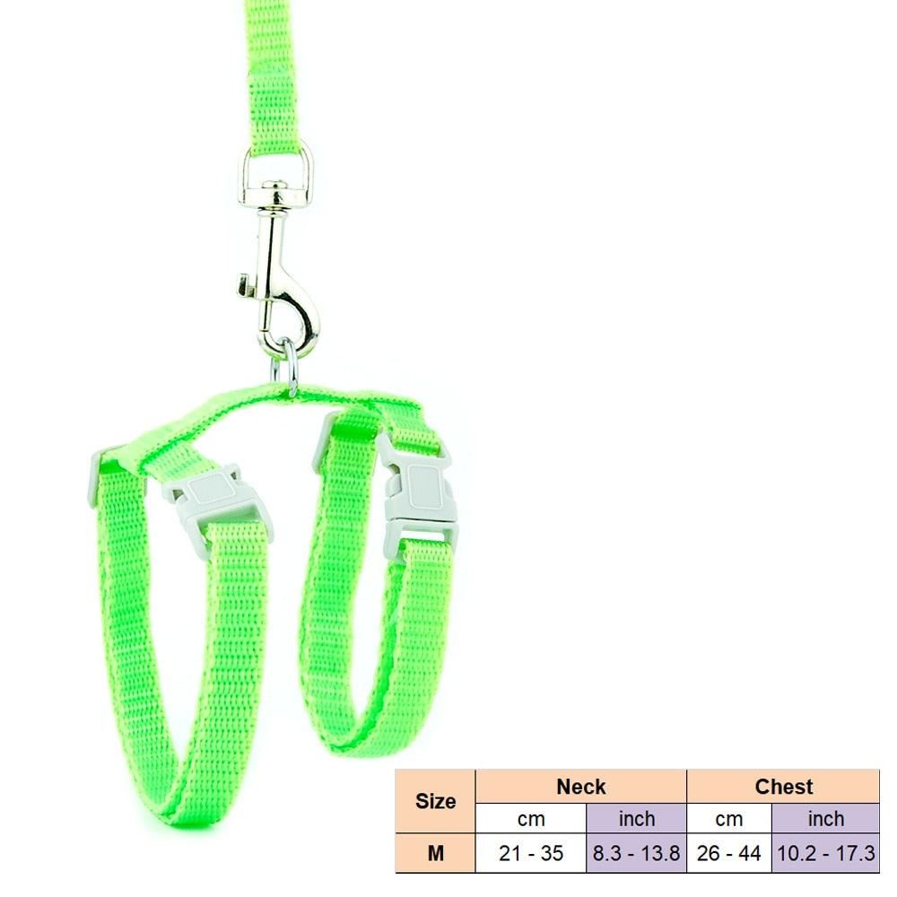 Cat Solid Halter Collar