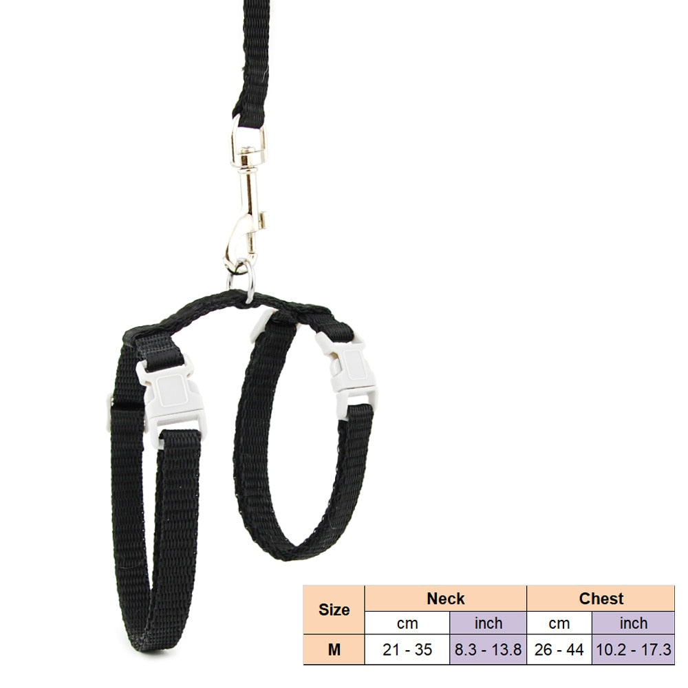 Cat Solid Halter Collar