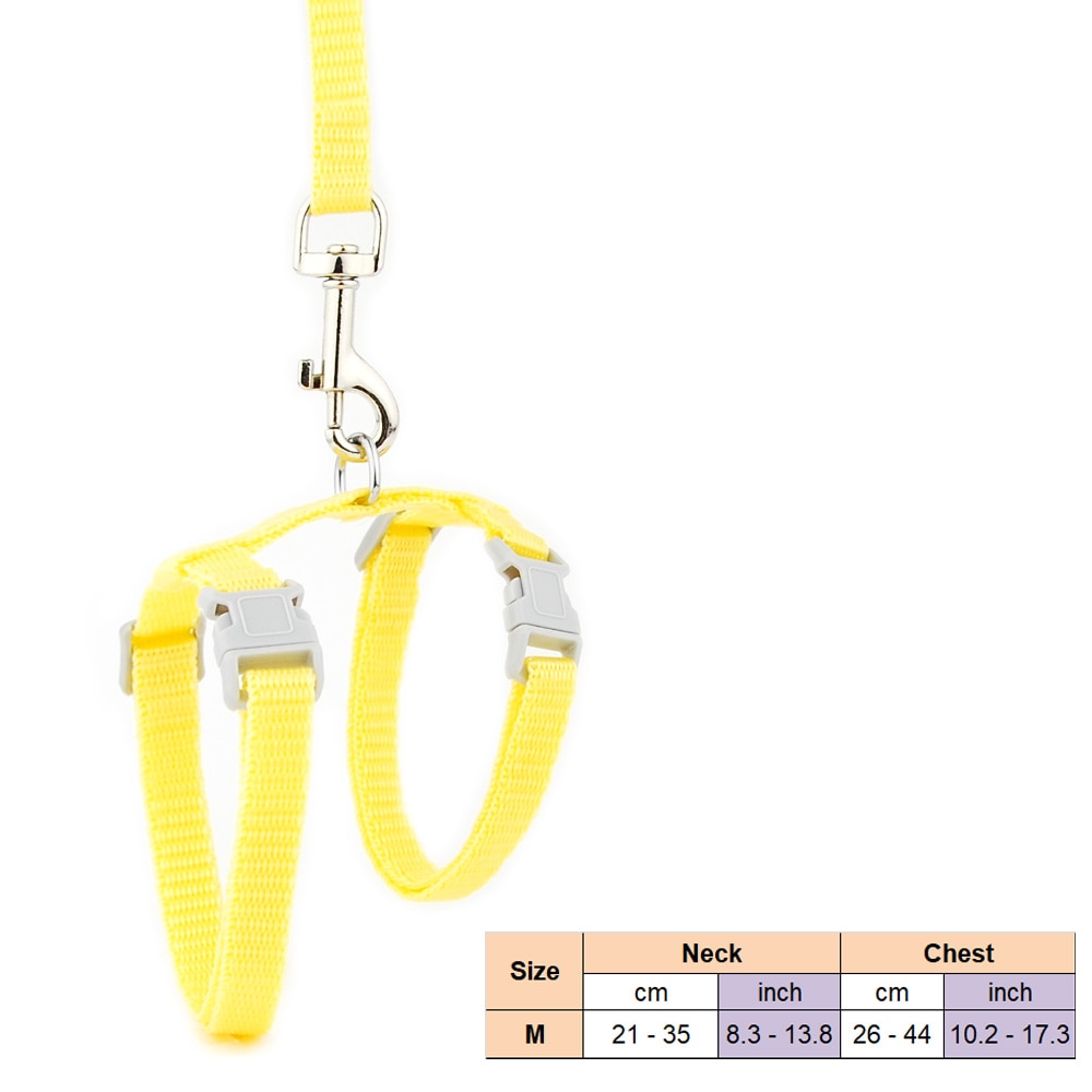 Cat Solid Halter Collar