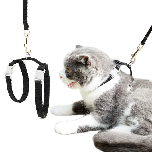 Cat Solid Halter Collar