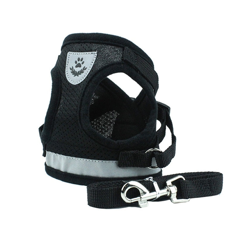 Nylon Mesh Cat Harness Set