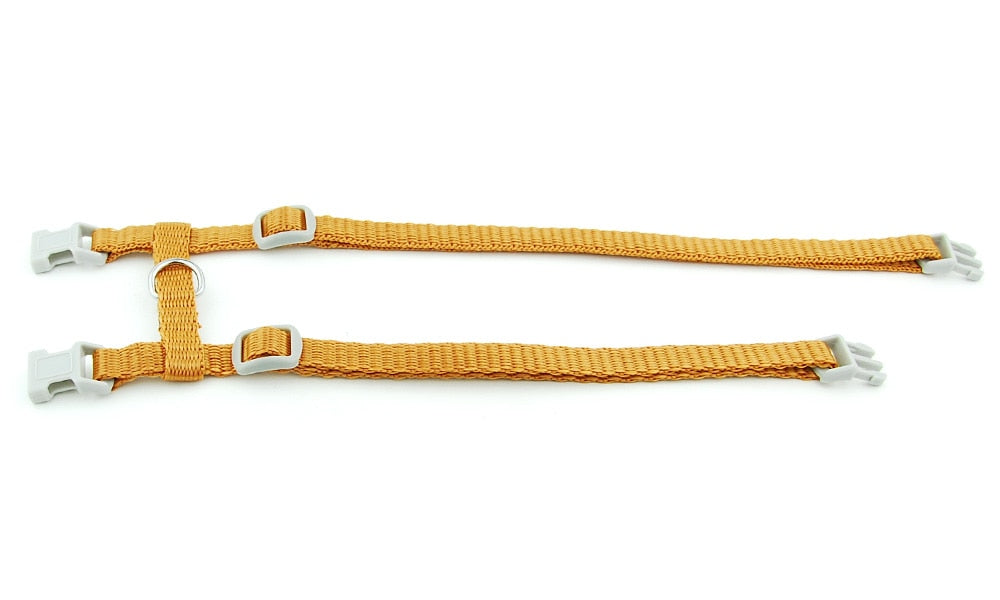 Cat Solid Halter Collar