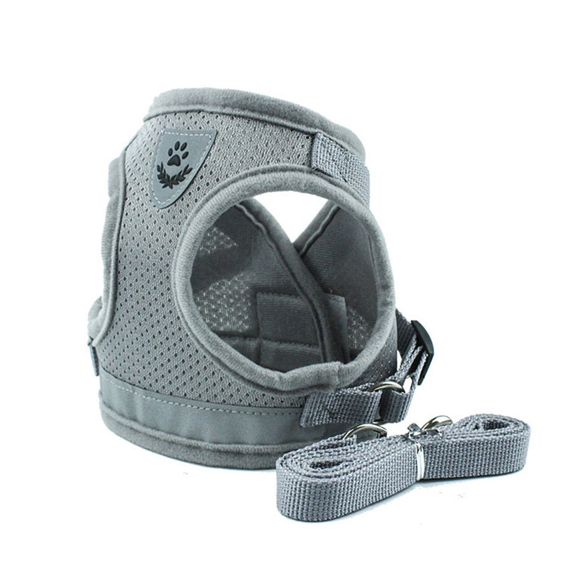 Nylon Mesh Cat Harness Set