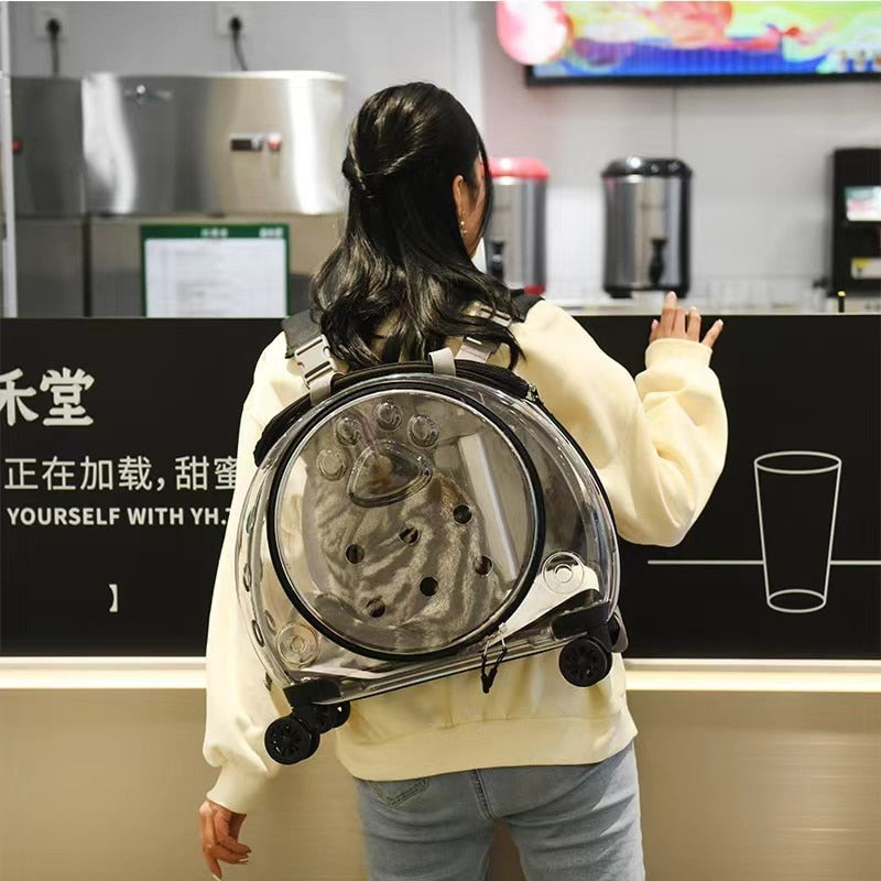 Transparent Kitten Travel Carry Cart