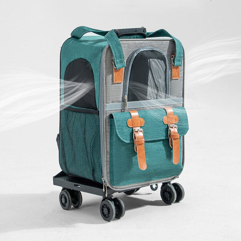 2 in 1 Cat Suitcase