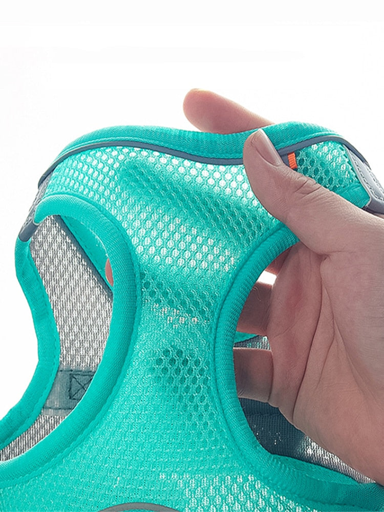 Breathable Cat Chest Harness With Rope