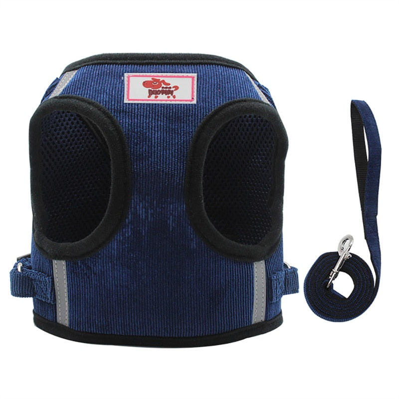 Nylon Mesh Cat Harness Set