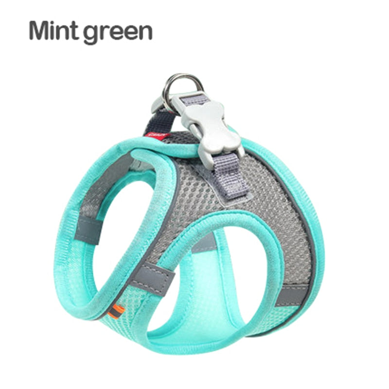 Breathable Cat Chest Harness With Rope