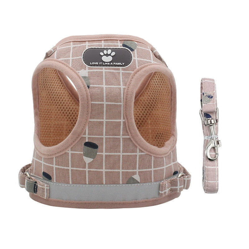 Nylon Mesh Cat Harness Set