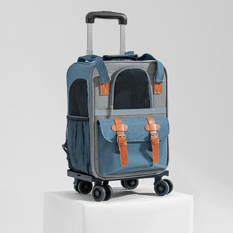 2 in 1 Cat Suitcase