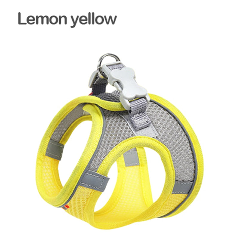 Breathable Cat Chest Harness With Rope