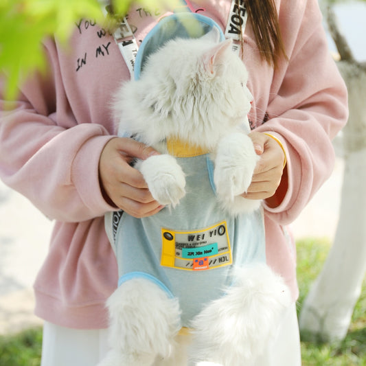 Cat Shoulder Puppy Carrier