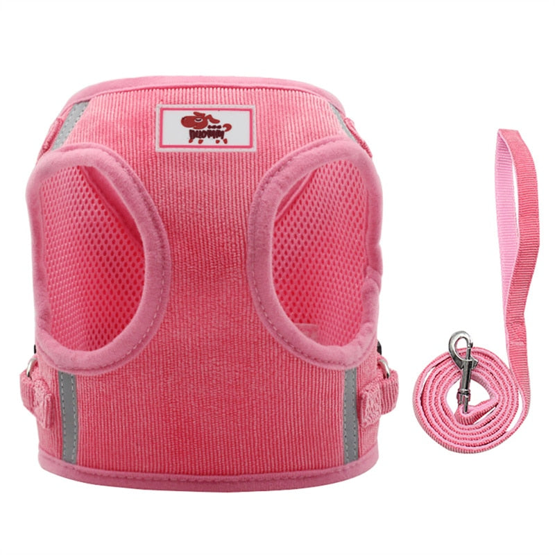 Nylon Mesh Cat Harness Set