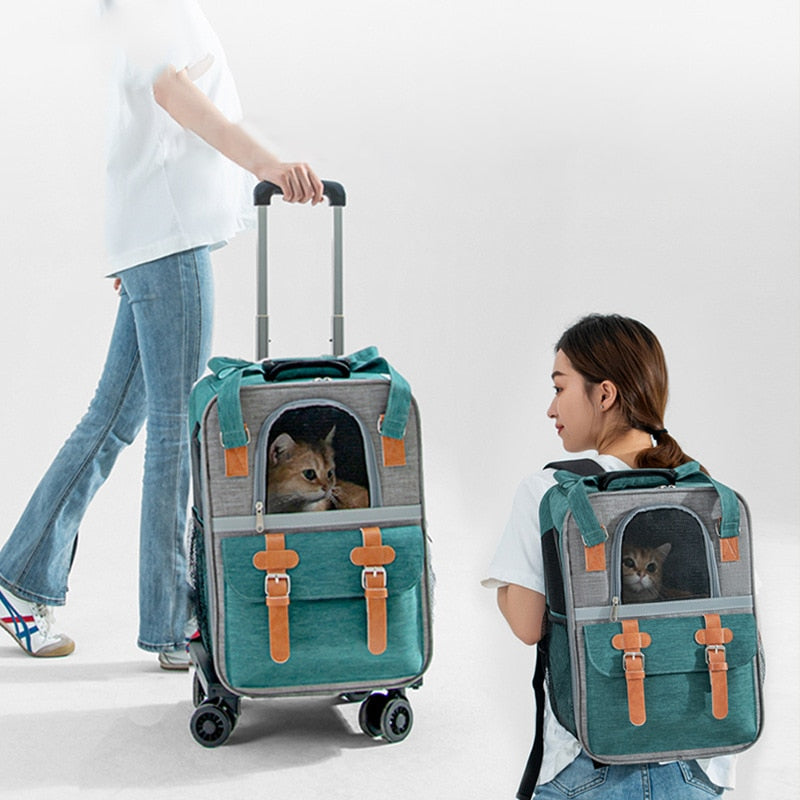 2 in 1 Cat Suitcase