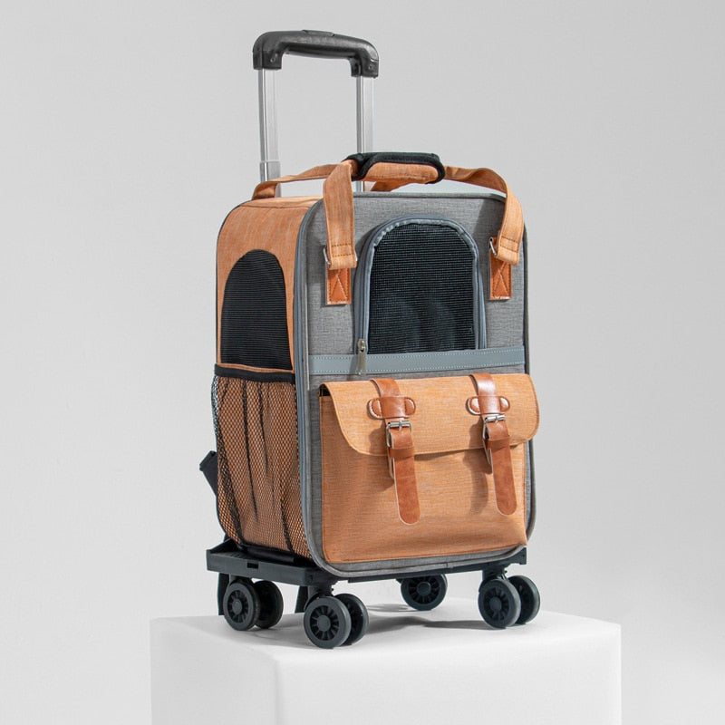 2 in 1 Cat Suitcase