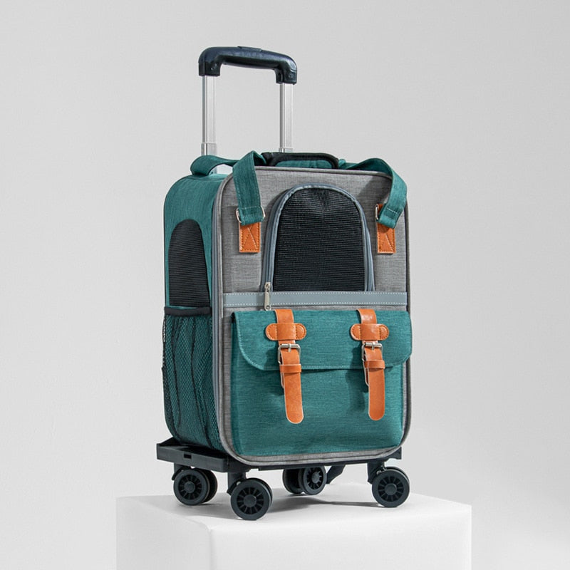 2 in 1 Cat Suitcase