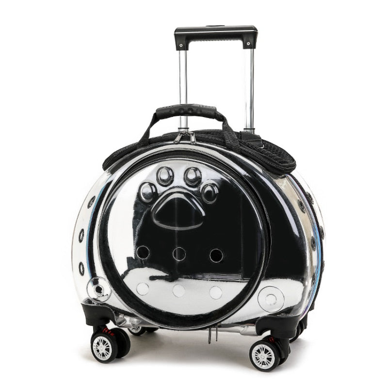 Transparent Kitten Travel Carry Cart