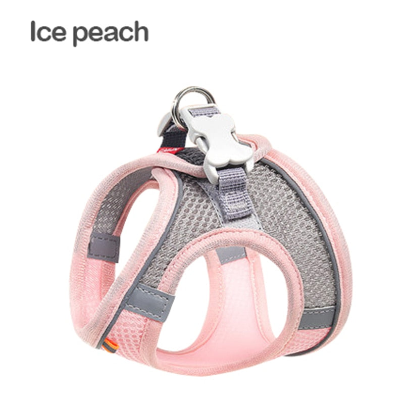 Breathable Cat Chest Harness With Rope