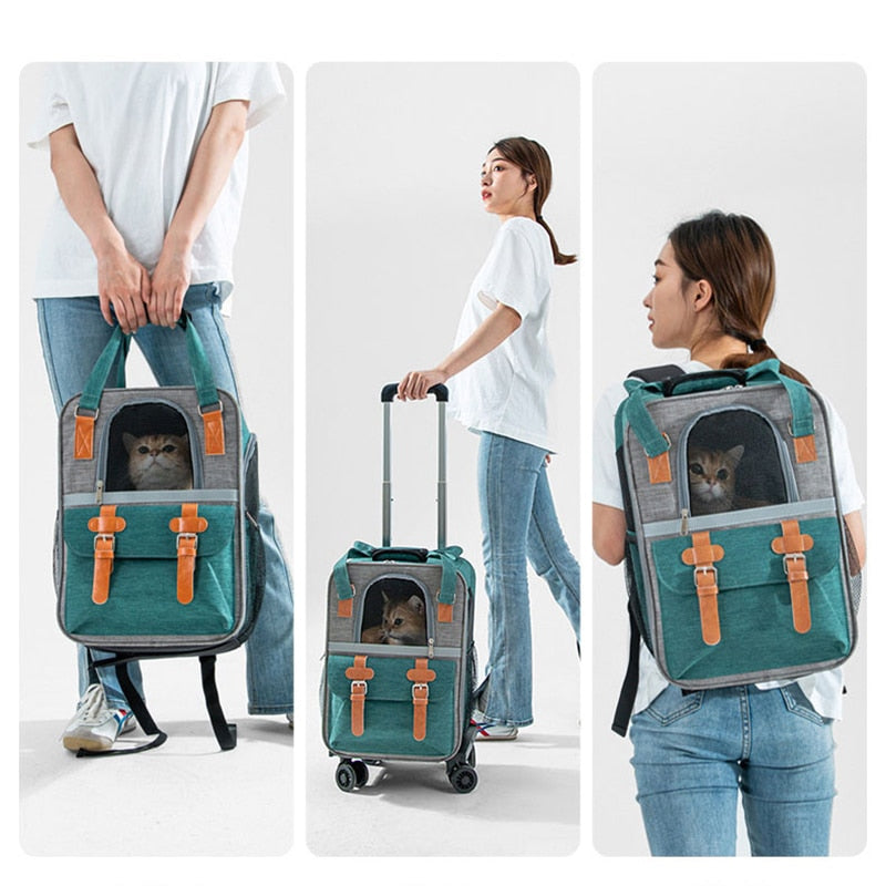 2 in 1 Cat Suitcase