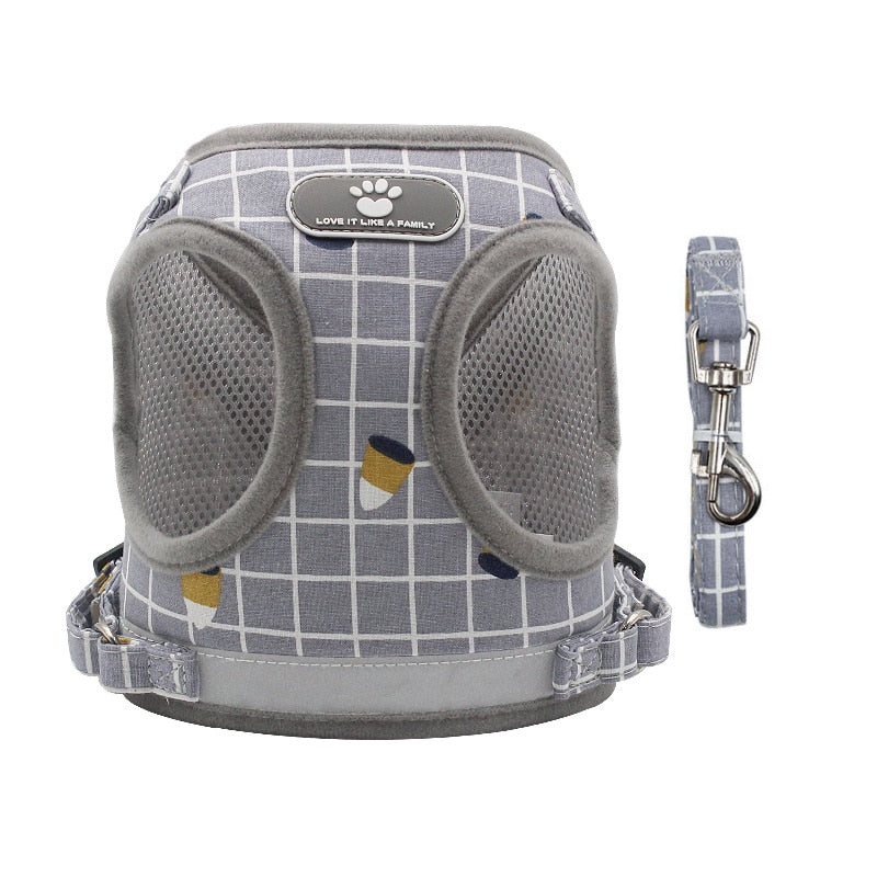 Nylon Mesh Cat Harness Set
