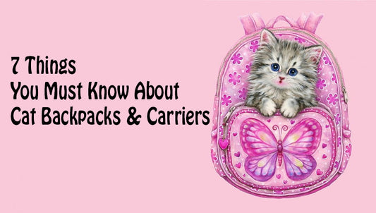 7 Things You Must Know About Cat Backpacks & Carriers