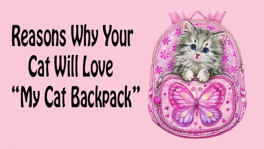 Reasons why your cat will love “My Cat Backpack”