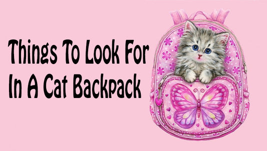 Things To Look For In A Cat Backpack