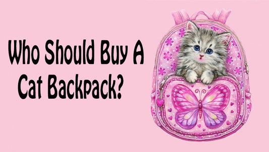 Who Should Buy A Cat Backpack?
