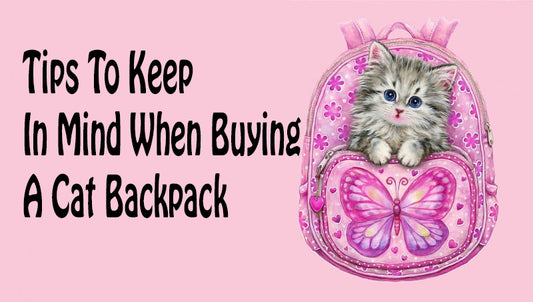 Tips To Keep In Mind When Buying A Cat Backpack