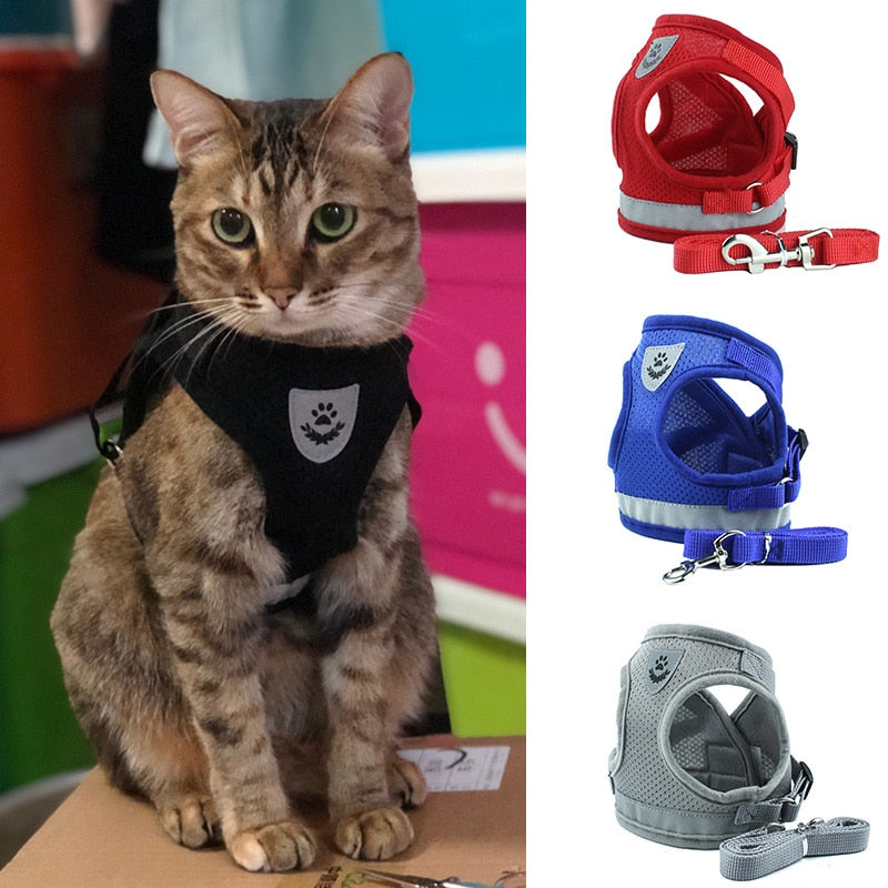 Nylon Mesh Cat Harness Set