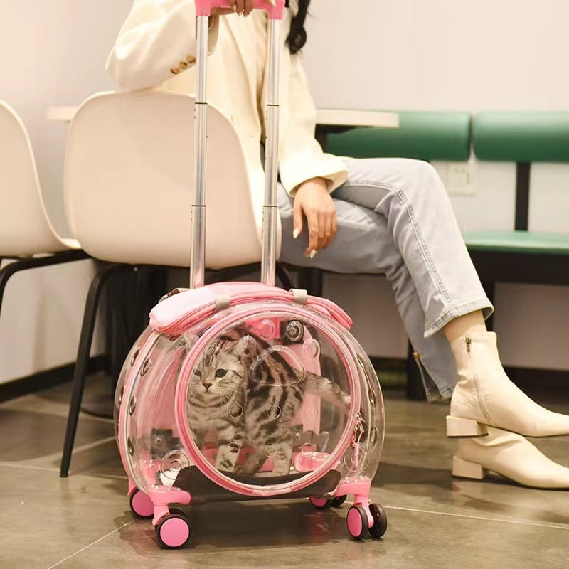 Transparent Kitten Travel Carry Cart