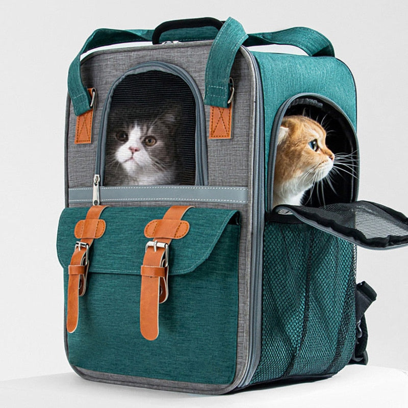 2 in 1 Cat Suitcase