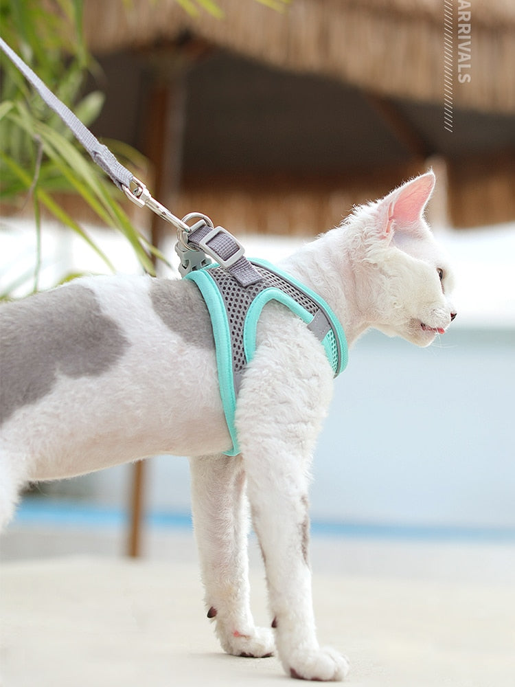 Cat chest outlet harness