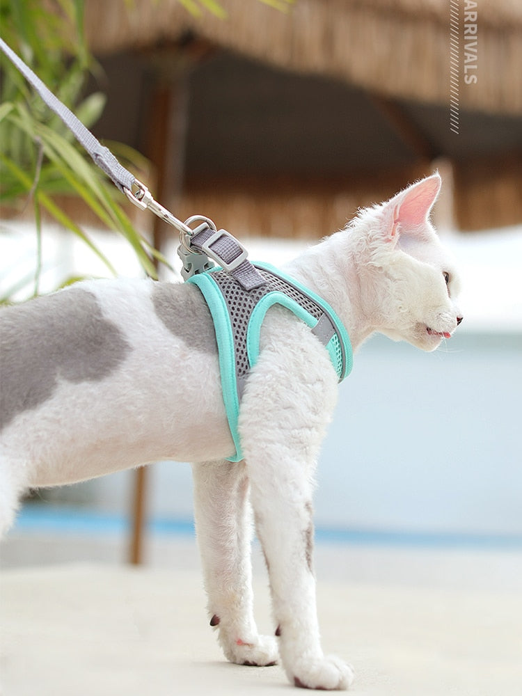 Breathable Cat Chest Harness With Rope